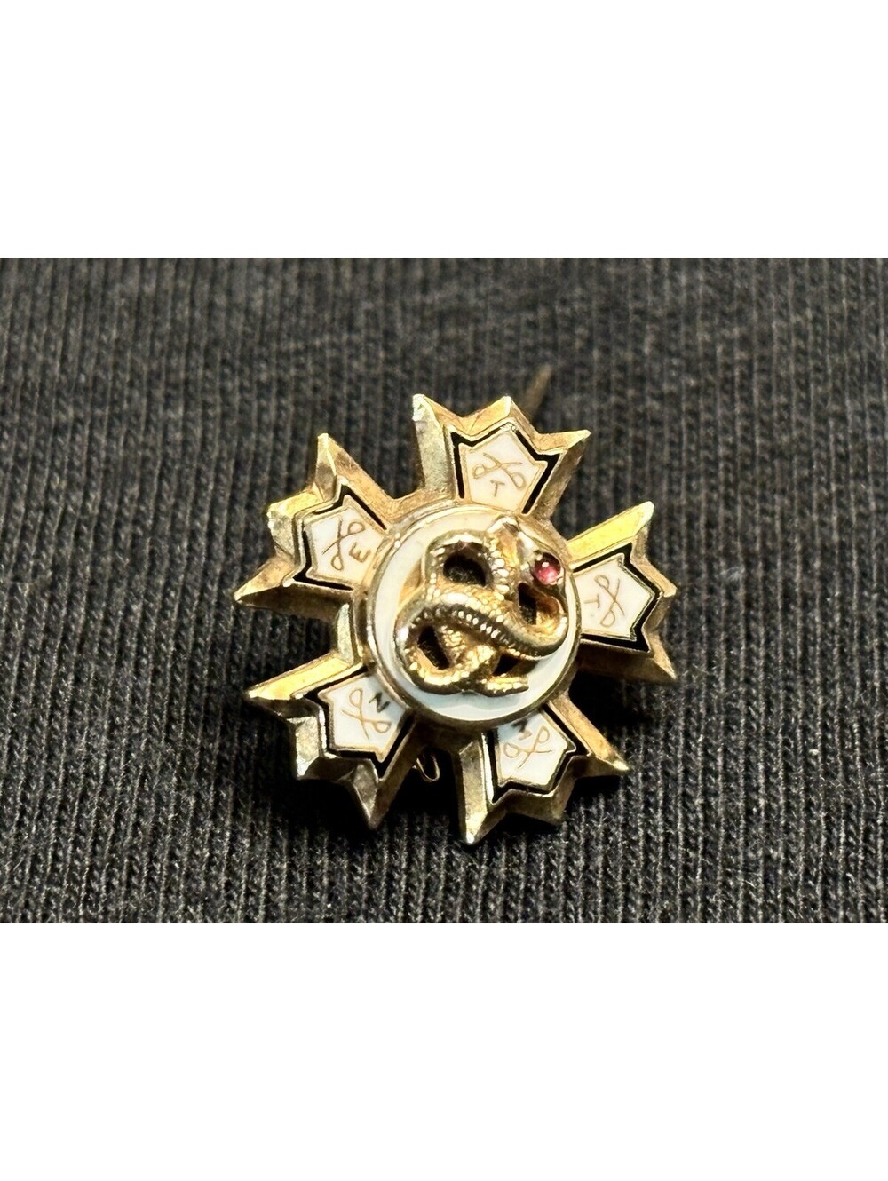 Vintage 10K Gold Sigma Nu Fraternity Snake Pin Ruby Eye Enamel Badge 3.48g